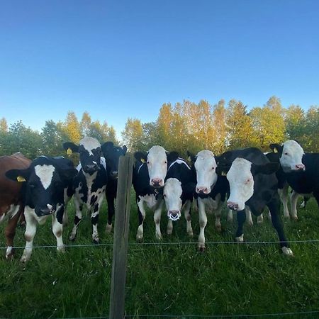 Mysig Stuga Naera Aestad Vingard & Spa Zewnętrze zdjęcie
